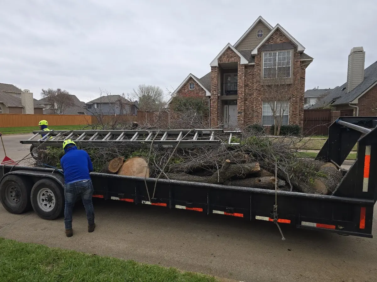 Expert Lot Clearing with proper safety equipment in Newell